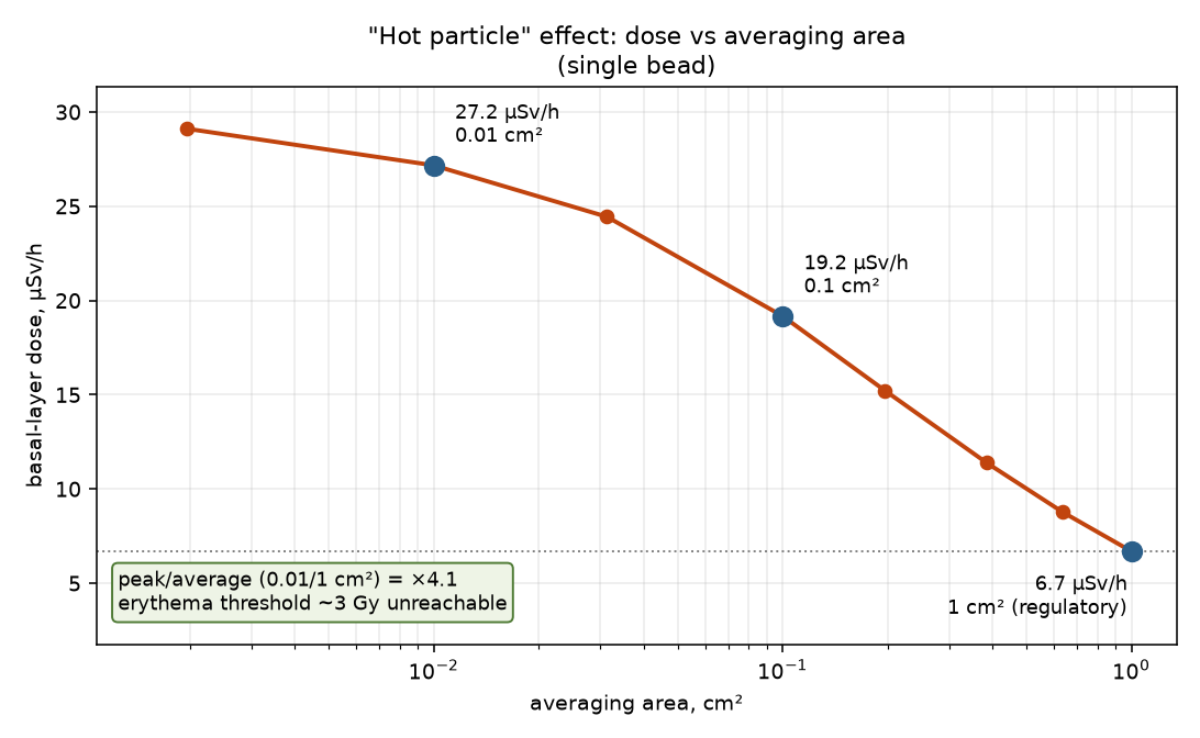 Local dose vs averaging area (hot particle)