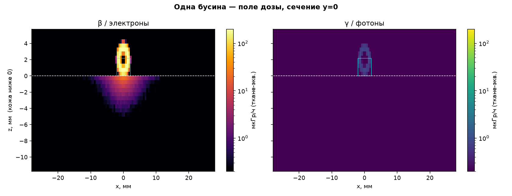 Сечение поля, одна бусина